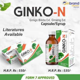 GINKO-N SYRUP